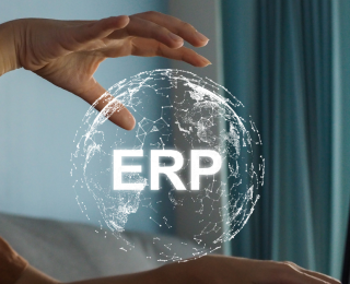 ERP Magento